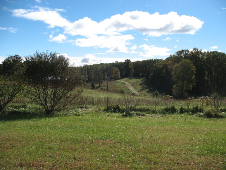 Image for ABSOLUTE AUCTION (Wright Estate)