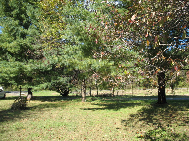 Image for ABSOLUTE AUCTION (Wright Estate)