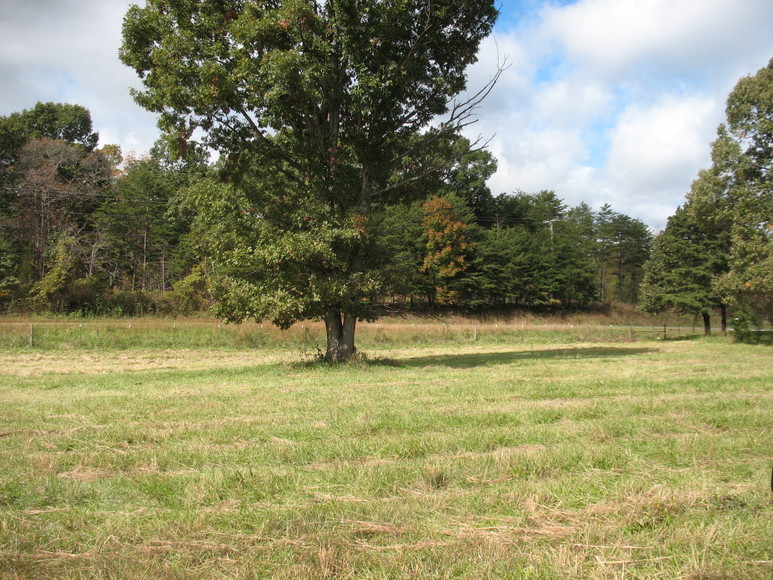 Image for ABSOLUTE AUCTION (Wright Estate)