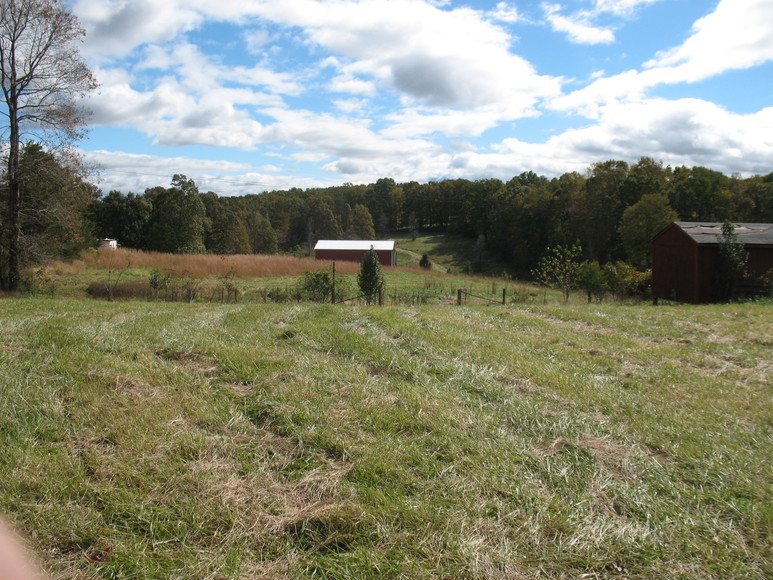 Image for ABSOLUTE AUCTION (Wright Estate)