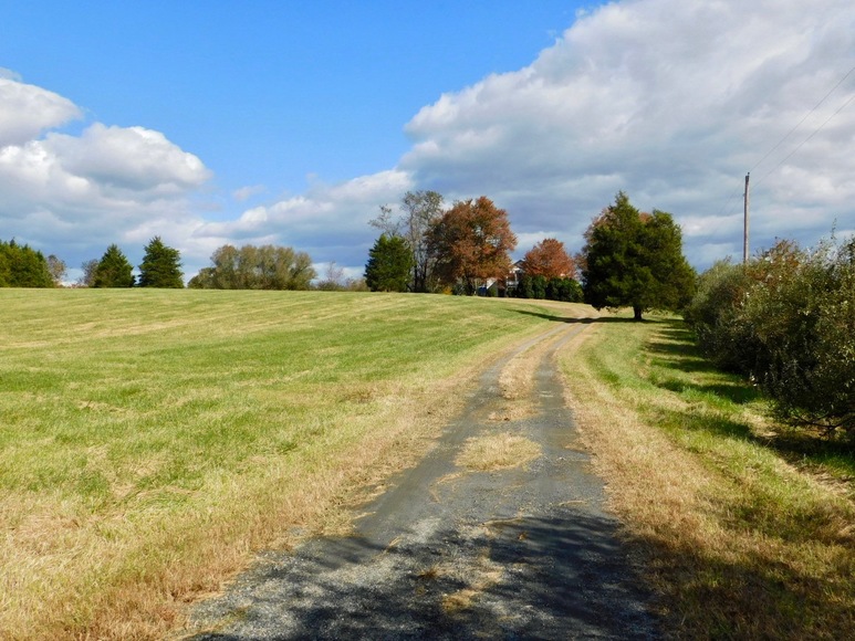 Image for Parcels 1 & 2 - 3 BR/2 BA Farm House (circa 1890), Large Barn, Outbuildings, Pond & Fruit Trees on 50 +/- Acres (offered in 2 parcels)--Sells to the Highest Bidder!!