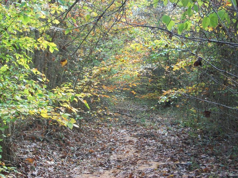 Image for Benchmark Community Bank