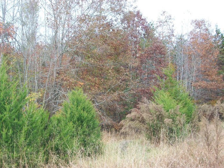 Image for Benchmark Community Bank