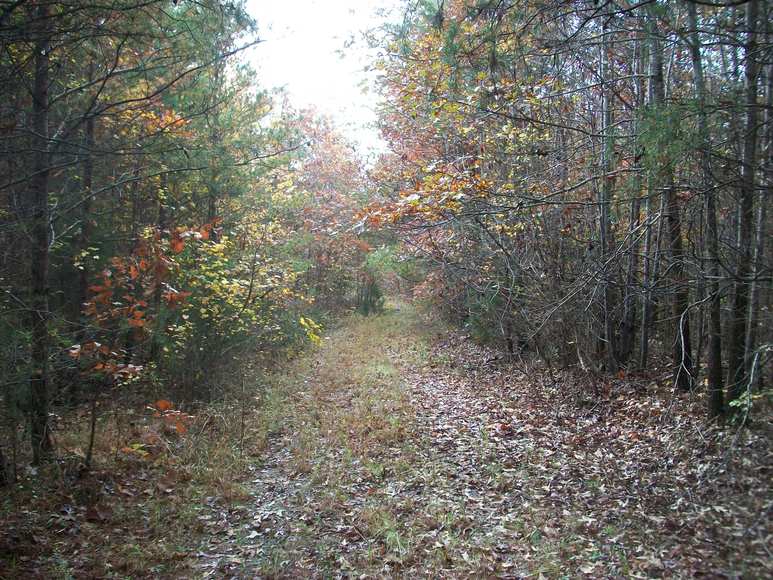 Image for Benchmark Community Bank