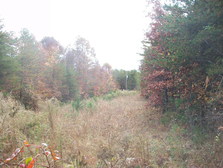 Image for Benchmark Community Bank