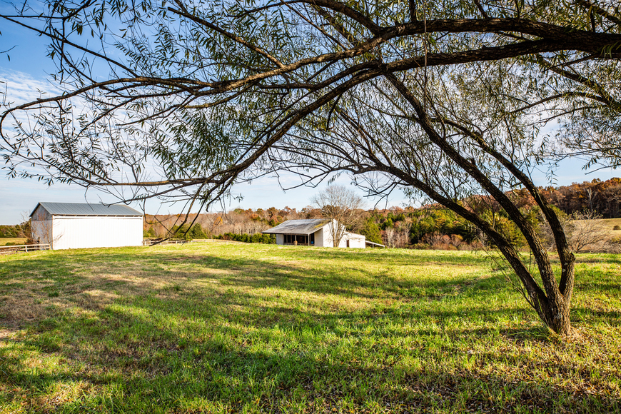 Image for Parcels 1 & 2 - 3 BR/2 BA Farm House (circa 1890), Large Barn, Outbuildings, Pond & Fruit Trees on 50 +/- Acres (offered in 2 parcels)--Sells to the Highest Bidder!!