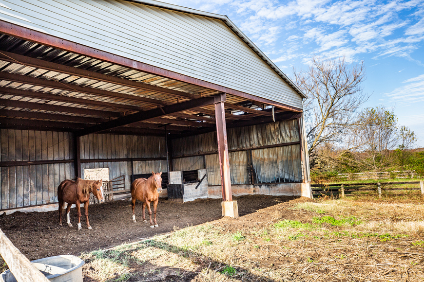 Image for Parcels 1 & 2 - 3 BR/2 BA Farm House (circa 1890), Large Barn, Outbuildings, Pond & Fruit Trees on 50 +/- Acres (offered in 2 parcels)--Sells to the Highest Bidder!!