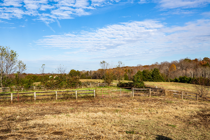 Image for Parcels 1 & 2 - 3 BR/2 BA Farm House (circa 1890), Large Barn, Outbuildings, Pond & Fruit Trees on 50 +/- Acres (offered in 2 parcels)--Sells to the Highest Bidder!!