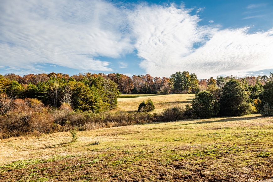 Image for Parcels 1 & 2 - 3 BR/2 BA Farm House (circa 1890), Large Barn, Outbuildings, Pond & Fruit Trees on 50 +/- Acres (offered in 2 parcels)--Sells to the Highest Bidder!!
