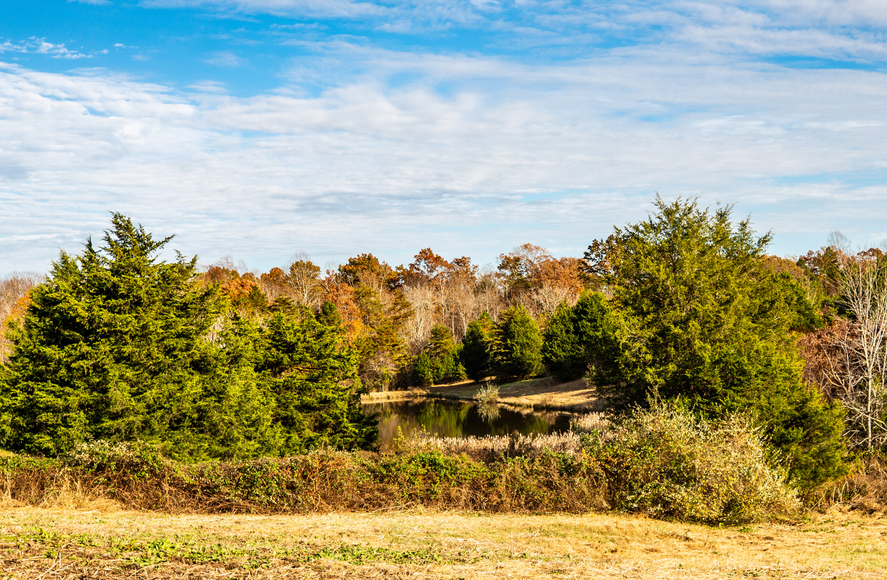 Image for Parcels 1 & 2 - 3 BR/2 BA Farm House (circa 1890), Large Barn, Outbuildings, Pond & Fruit Trees on 50 +/- Acres (offered in 2 parcels)--Sells to the Highest Bidder!!