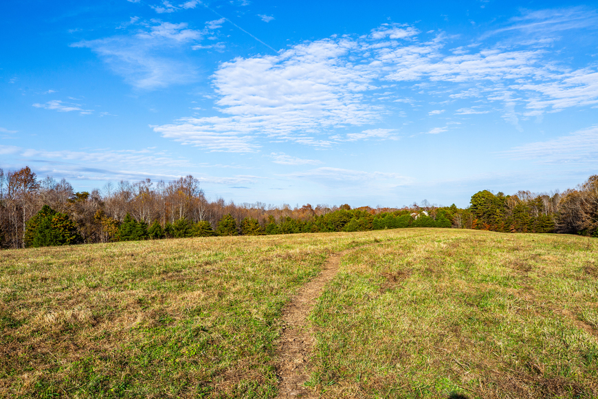 Image for Parcels 1 & 2 - 3 BR/2 BA Farm House (circa 1890), Large Barn, Outbuildings, Pond & Fruit Trees on 50 +/- Acres (offered in 2 parcels)--Sells to the Highest Bidder!!