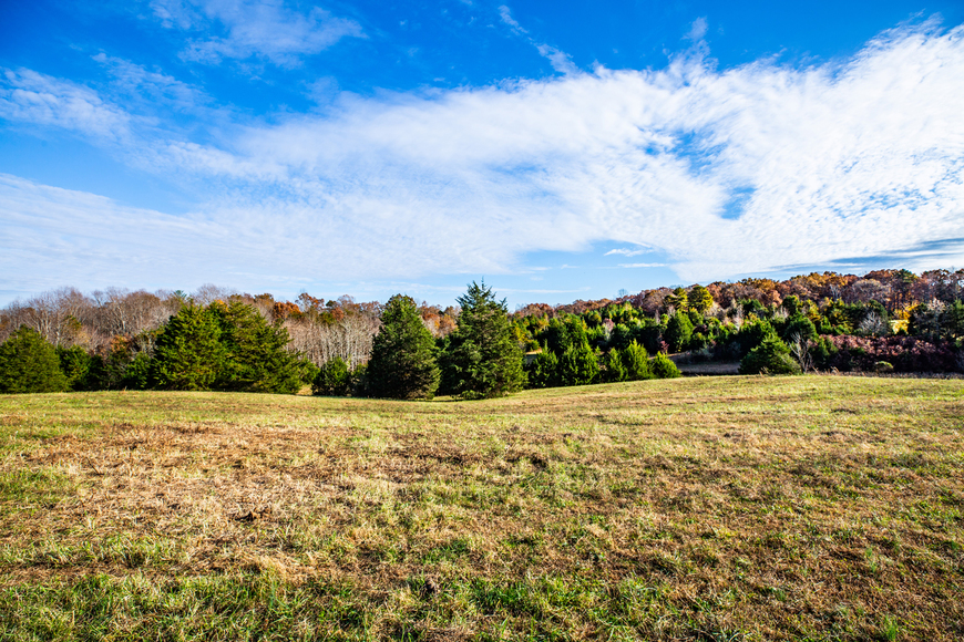 Image for Parcels 1 & 2 - 3 BR/2 BA Farm House (circa 1890), Large Barn, Outbuildings, Pond & Fruit Trees on 50 +/- Acres (offered in 2 parcels)--Sells to the Highest Bidder!!
