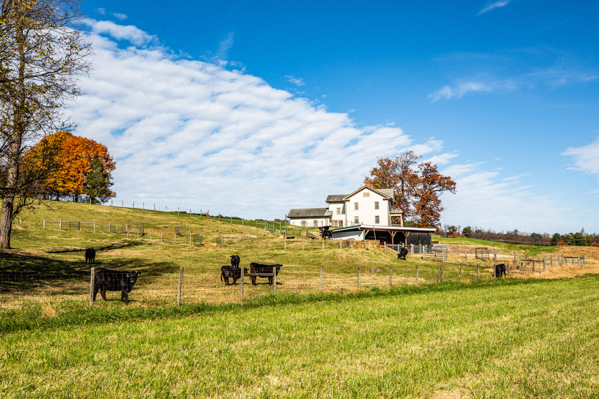 Image for Bear Wallow Farm/David Fultz House:  35 +/- Acres--Immaculately Restored and Historic 4 BR Home, Barn, Pastures & Fencing