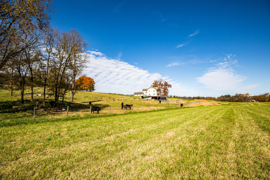 Image for Bear Wallow Farm/David Fultz House:  35 +/- Acres--Immaculately Restored and Historic 4 BR Home, Barn, Pastures & Fencing