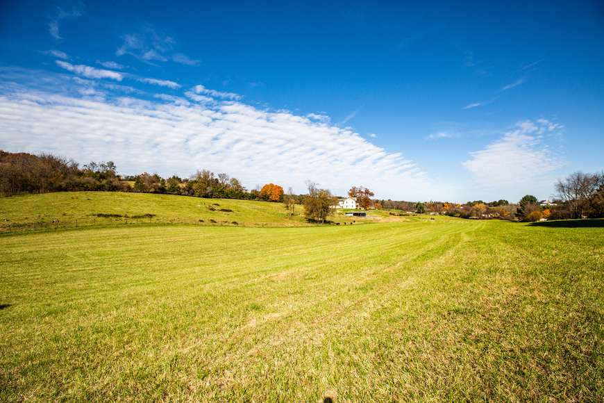 Image for Bear Wallow Farm/David Fultz House:  35 +/- Acres--Immaculately Restored and Historic 4 BR Home, Barn, Pastures & Fencing