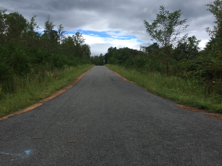 Image for ABSOLUTE Trustee Auction (Stanardsville, VA)