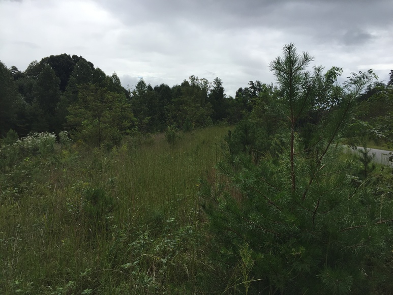 Image for ABSOLUTE Trustee Auction (Stanardsville, VA)