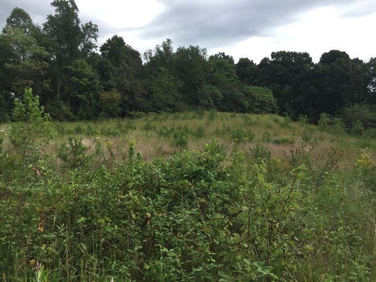 Image for ABSOLUTE Trustee Auction (Stanardsville, VA)