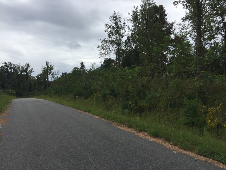 Image for ABSOLUTE Trustee Auction (Stanardsville, VA)