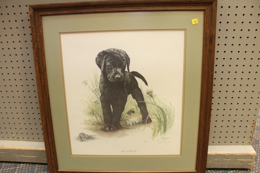 Image for Gallery Auction: 11-15-18 **Being Held As Scheduled at 10:00 AM**