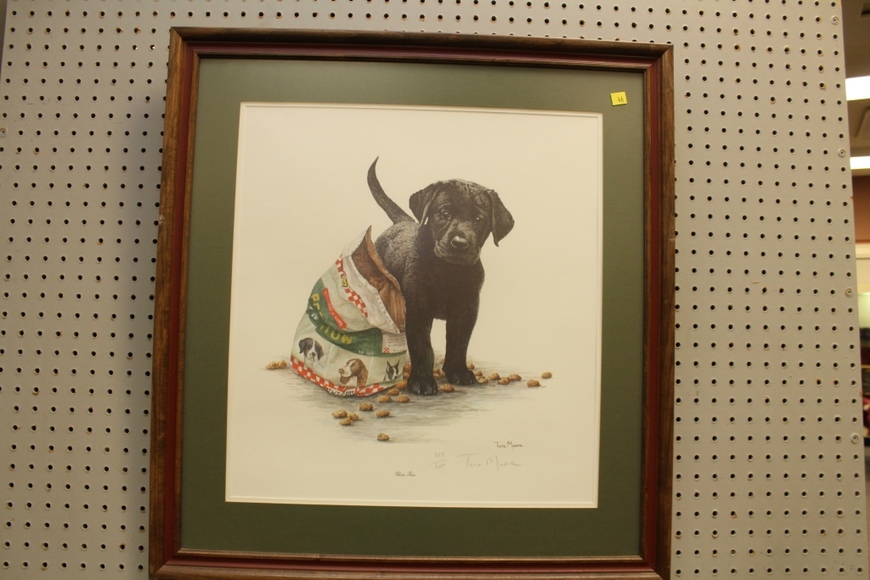 Image for Gallery Auction: 11-15-18 **Being Held As Scheduled at 10:00 AM**