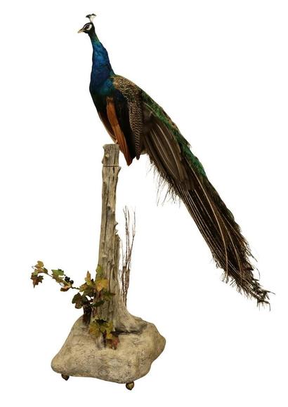 Image for Live and Online - Fine and Decorative Arts Auction: 12-6-18