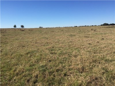 Image for 842 Frank Vacek Lane Schulenburg 78956, Fayette County