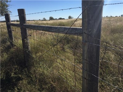 Image for 842 Frank Vacek Lane Schulenburg 78956, Fayette County