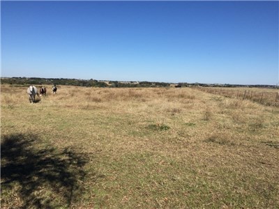 Image for 842 Frank Vacek Lane Schulenburg 78956, Fayette County