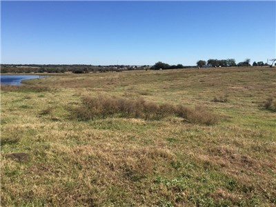 Image for 842 Frank Vacek Lane Schulenburg 78956, Fayette County