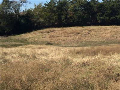 Image for 842 Frank Vacek Lane Schulenburg 78956, Fayette County