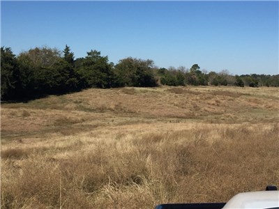 Image for 842 Frank Vacek Lane Schulenburg 78956, Fayette County