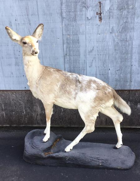 Image for Live and Online - Firearms, Accessories and Taxidermy Auction featuring an Original 1847 Colt Walker #122 attributed to C-Company of the Texas Rangers: 12-18-18