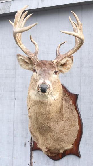 Image for Live and Online - Firearms, Accessories and Taxidermy Auction featuring an Original 1847 Colt Walker #122 attributed to C-Company of the Texas Rangers: 12-18-18