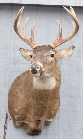Image for Live and Online - Firearms, Accessories and Taxidermy Auction featuring an Original 1847 Colt Walker #122 attributed to C-Company of the Texas Rangers: 12-18-18