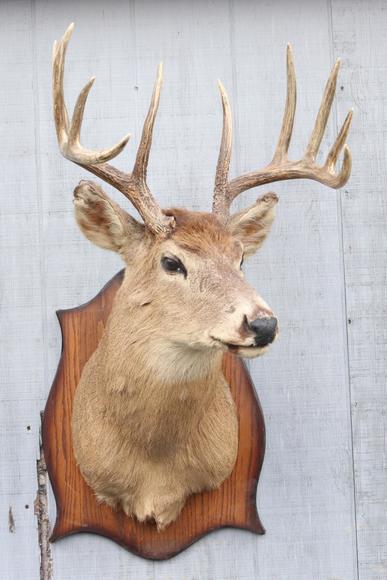 Image for Live and Online - Firearms, Accessories and Taxidermy Auction featuring an Original 1847 Colt Walker #122 attributed to C-Company of the Texas Rangers: 12-18-18