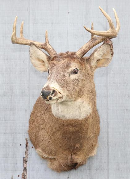 Image for Live and Online - Firearms, Accessories and Taxidermy Auction featuring an Original 1847 Colt Walker #122 attributed to C-Company of the Texas Rangers: 12-18-18