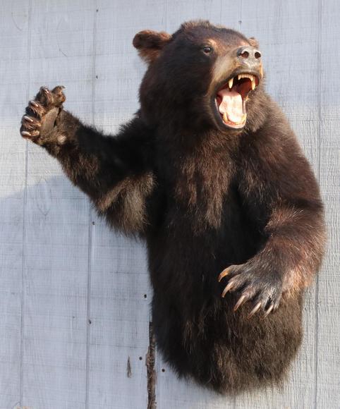 Image for Live and Online - Firearms, Accessories and Taxidermy Auction featuring an Original 1847 Colt Walker #122 attributed to C-Company of the Texas Rangers: 12-18-18