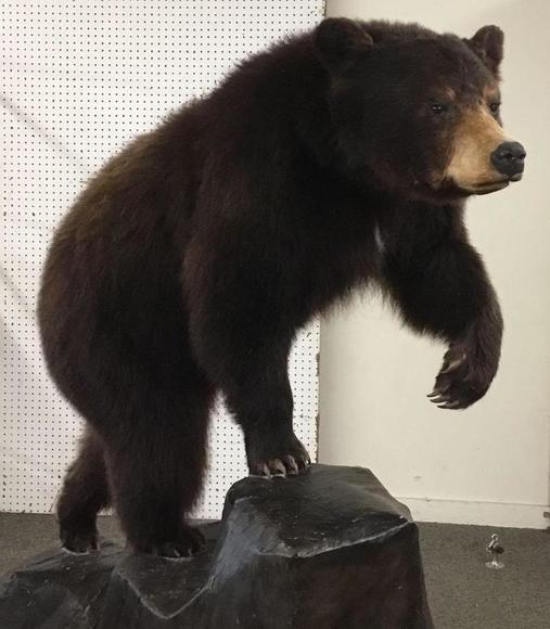 Image for Live and Online - Firearms, Accessories and Taxidermy Auction featuring an Original 1847 Colt Walker #122 attributed to C-Company of the Texas Rangers: 12-18-18