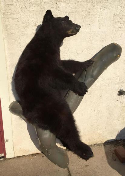 Image for Live and Online - Firearms, Accessories and Taxidermy Auction featuring an Original 1847 Colt Walker #122 attributed to C-Company of the Texas Rangers: 12-18-18