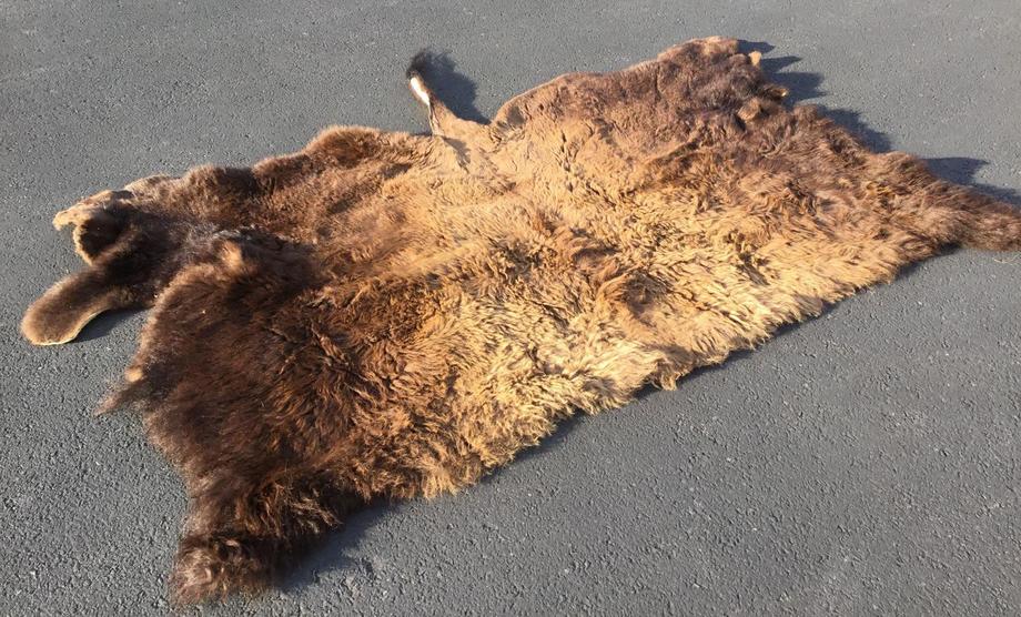 Image for Live and Online - Firearms, Accessories and Taxidermy Auction featuring an Original 1847 Colt Walker #122 attributed to C-Company of the Texas Rangers: 12-18-18