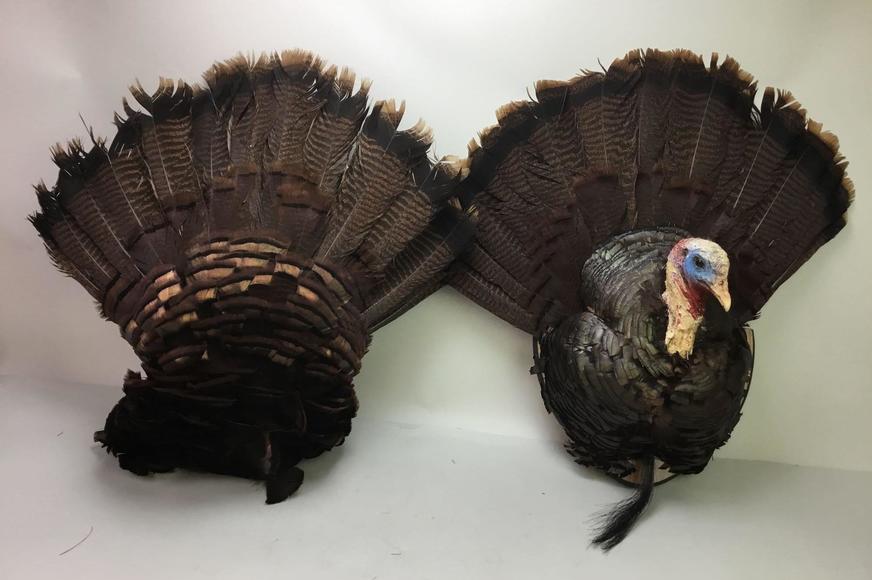 Image for Live and Online - Firearms, Accessories and Taxidermy Auction featuring an Original 1847 Colt Walker #122 attributed to C-Company of the Texas Rangers: 12-18-18