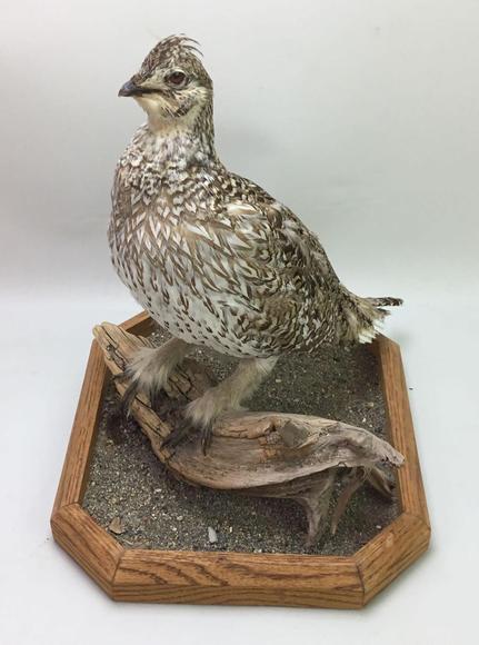 Image for Live and Online - Firearms, Accessories and Taxidermy Auction featuring an Original 1847 Colt Walker #122 attributed to C-Company of the Texas Rangers: 12-18-18