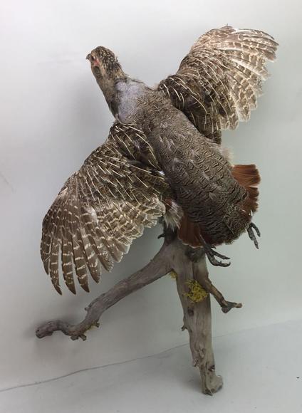 Image for Live and Online - Firearms, Accessories and Taxidermy Auction featuring an Original 1847 Colt Walker #122 attributed to C-Company of the Texas Rangers: 12-18-18