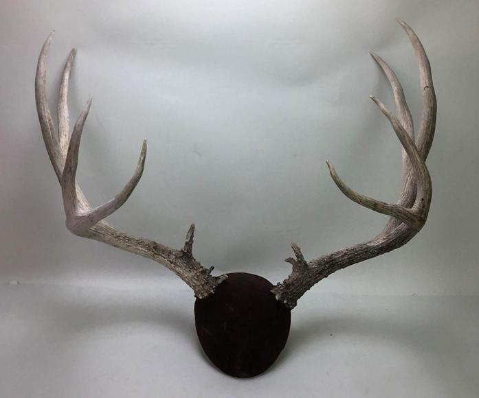 Image for Live and Online - Firearms, Accessories and Taxidermy Auction featuring an Original 1847 Colt Walker #122 attributed to C-Company of the Texas Rangers: 12-18-18