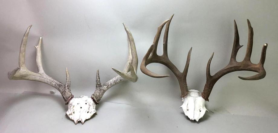 Image for Live and Online - Firearms, Accessories and Taxidermy Auction featuring an Original 1847 Colt Walker #122 attributed to C-Company of the Texas Rangers: 12-18-18