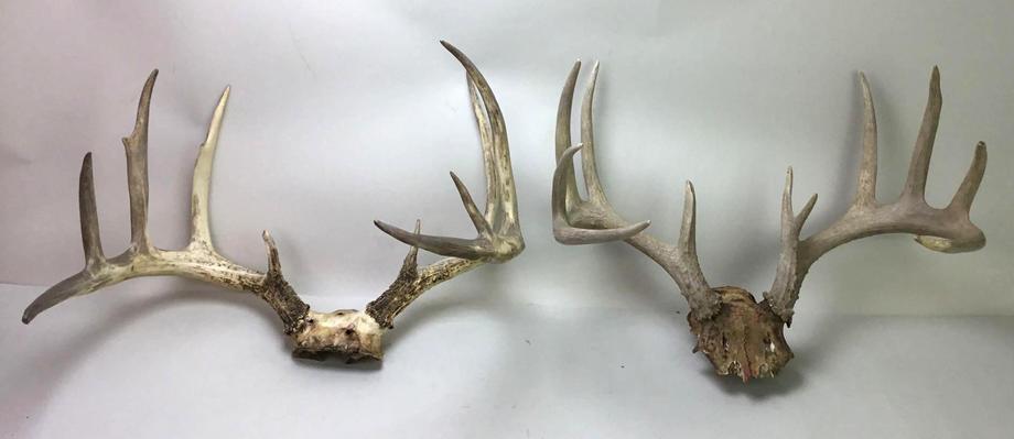 Image for Live and Online - Firearms, Accessories and Taxidermy Auction featuring an Original 1847 Colt Walker #122 attributed to C-Company of the Texas Rangers: 12-18-18