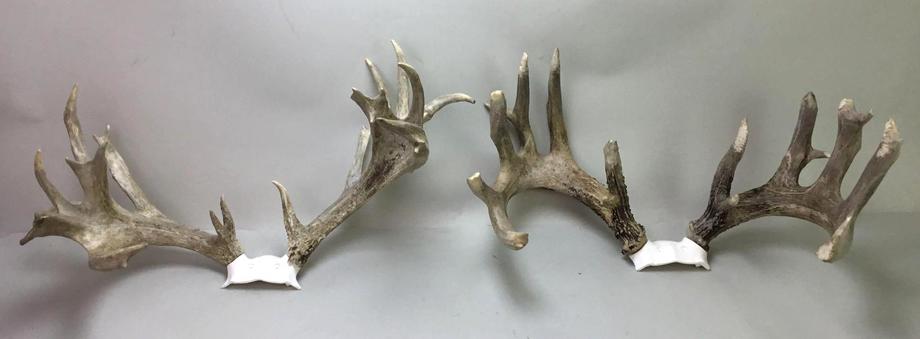 Image for Live and Online - Firearms, Accessories and Taxidermy Auction featuring an Original 1847 Colt Walker #122 attributed to C-Company of the Texas Rangers: 12-18-18