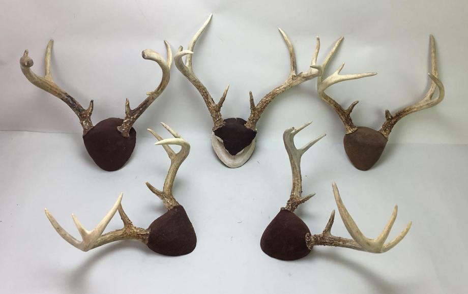 Image for Live and Online - Firearms, Accessories and Taxidermy Auction featuring an Original 1847 Colt Walker #122 attributed to C-Company of the Texas Rangers: 12-18-18