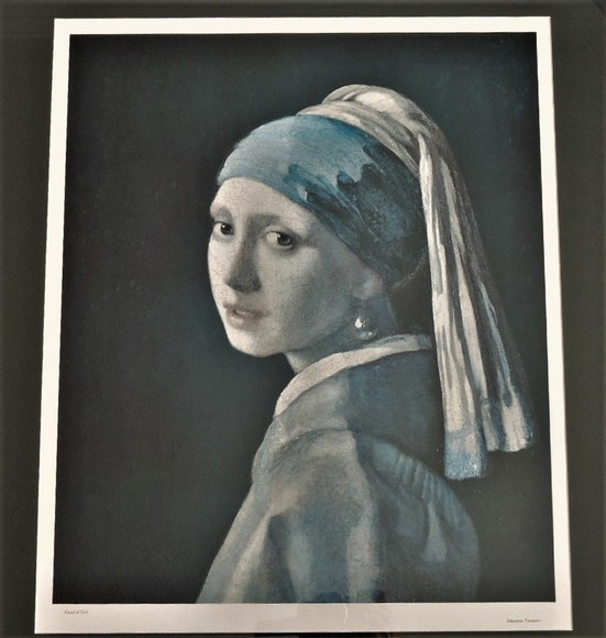 Image for GIRL WITH PEARL EARRING